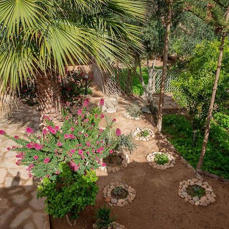 Maison Nomades Aït Boukha Exteriér fotografie