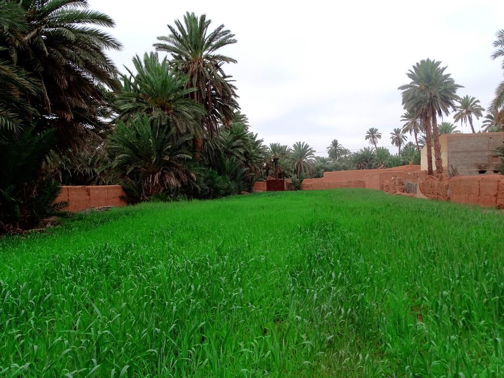 Maison Nomades Aït Boukha Exteriér fotografie
