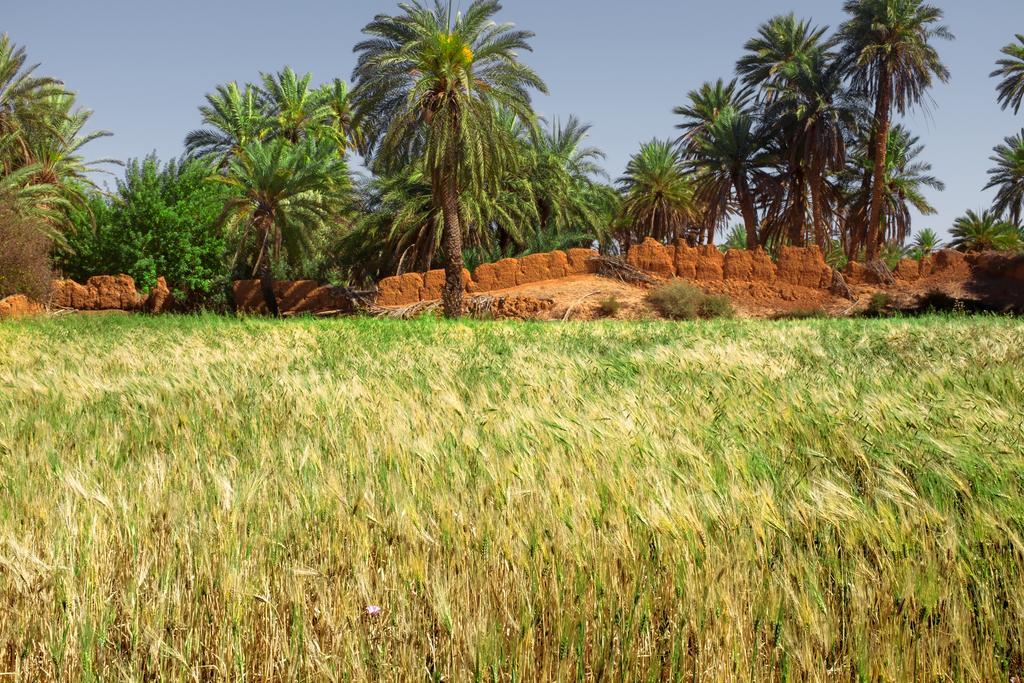 Maison Nomades Aït Boukha Exteriér fotografie